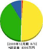 坂本配管工業所 貸借対照表 2009年12月期