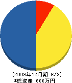 岩本工業 貸借対照表 2009年12月期
