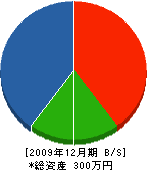 武田工務店 貸借対照表 2009年12月期