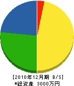 平野電気商会 貸借対照表 2010年12月期