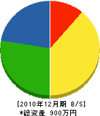 浜本電機商会 貸借対照表 2010年12月期
