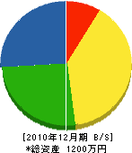 田中総業 貸借対照表 2010年12月期