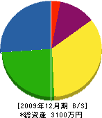 丸高電気商会 貸借対照表 2009年12月期