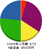 益田建材 貸借対照表 2009年12月期