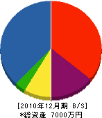 嶋水道工事店 貸借対照表 2010年12月期