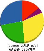 藤川建築 貸借対照表 2009年12月期