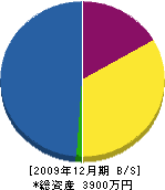 宇恵組 貸借対照表 2009年12月期