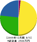 中沢工務店 貸借対照表 2009年12月期