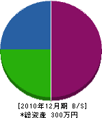 松浦造園 貸借対照表 2010年12月期