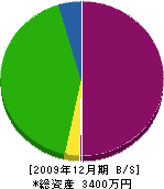 柴崎電気工事店 貸借対照表 2009年12月期
