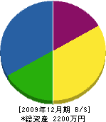 竹内組 貸借対照表 2009年12月期