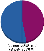 伊藤電気工事 貸借対照表 2010年12月期