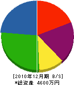 池田電工 貸借対照表 2010年12月期