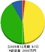 大村電気商会 貸借対照表 2009年12月期