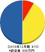 長谷川文彦 貸借対照表 2010年12月期