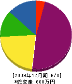 曽根工務店 貸借対照表 2009年12月期