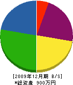 野沢塗装 貸借対照表 2009年12月期