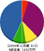 田崎建設 貸借対照表 2009年12月期