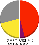 坂永造園 損益計算書 2009年12月期