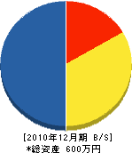 中島塗装 貸借対照表 2010年12月期