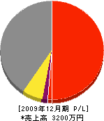 辻川企画工業 損益計算書 2009年12月期