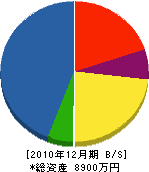 長岡組 貸借対照表 2010年12月期