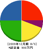 沼田建設 貸借対照表 2009年12月期