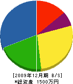 斉藤塗装工事店 貸借対照表 2009年12月期
