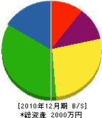 岩井水道工業所 貸借対照表 2010年12月期