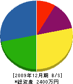 森田電器 貸借対照表 2009年12月期