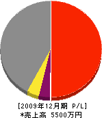 中川電気工業 損益計算書 2009年12月期