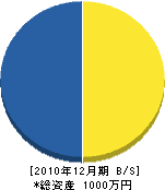 斉藤設備 貸借対照表 2010年12月期