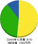 堀田組 貸借対照表 2009年12月期