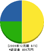 坂本工務店 貸借対照表 2009年12月期