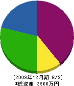 志田畳店 貸借対照表 2009年12月期