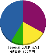 平田緑地建設 貸借対照表 2009年12月期