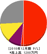 薮内電工 損益計算書 2010年12月期