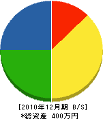 田中組 貸借対照表 2010年12月期