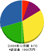 上田中電気 貸借対照表 2009年12月期