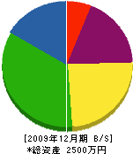 沢口住建 貸借対照表 2009年12月期