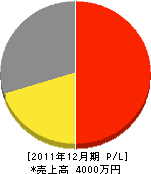 井戸勝 損益計算書 2011年12月期