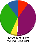 江藤造園 貸借対照表 2009年12月期