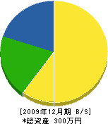 高田表具店 貸借対照表 2009年12月期
