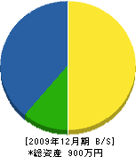 藤井商店 貸借対照表 2009年12月期