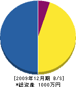 柳田工務店 貸借対照表 2009年12月期