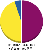 浜田電設 貸借対照表 2009年12月期