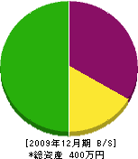 三栄鉄工所 貸借対照表 2009年12月期