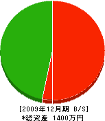 斉藤トタン店 貸借対照表 2009年12月期