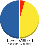辻本舗道 貸借対照表 2009年12月期