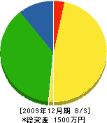 塚原造園 貸借対照表 2009年12月期